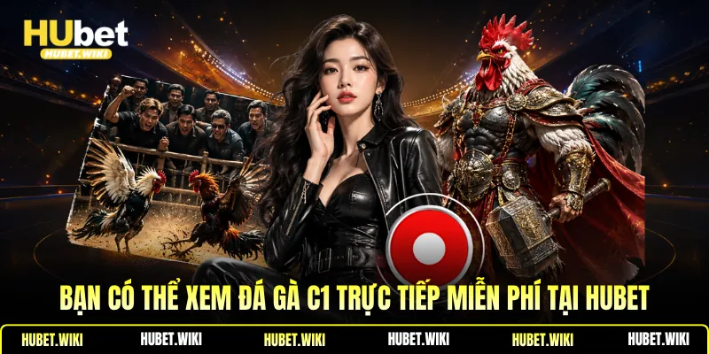 Bạn có thể xem đá gà C1 trực tiếp miễn phí tại Hubet