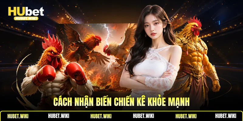 Cách nhận biến chiến kê khỏe mạnh 