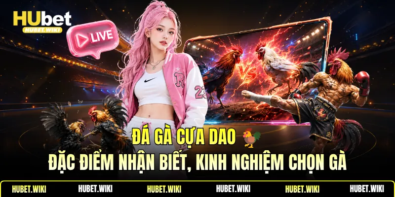 Đá Gà Cựa Dao 🐓Đặc Điểm Nhận Biết, Kinh Nghiệm Chọn Gà Đá Gà Cựa Dao 🐓Đặc Điểm Nhận Biết, Kinh Nghiệm Chọn Gà