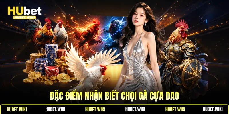 Đặc điểm nhận biết chọi gà cựa dao