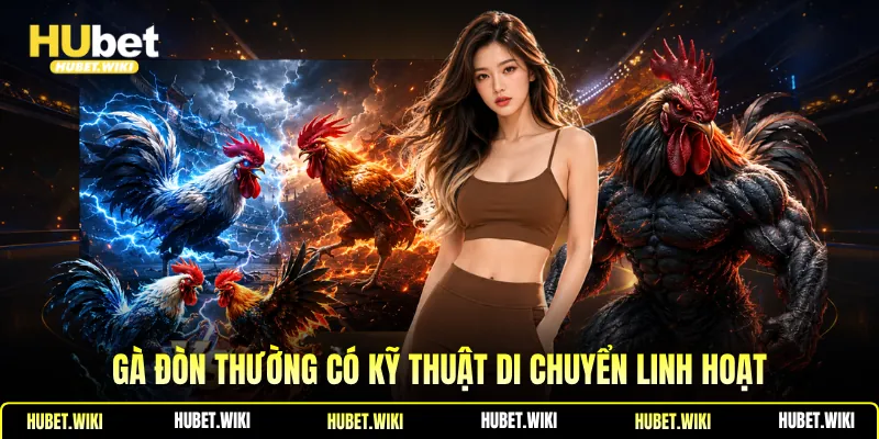 Gà đòn thường có kỹ thuật di chuyển linh hoạt