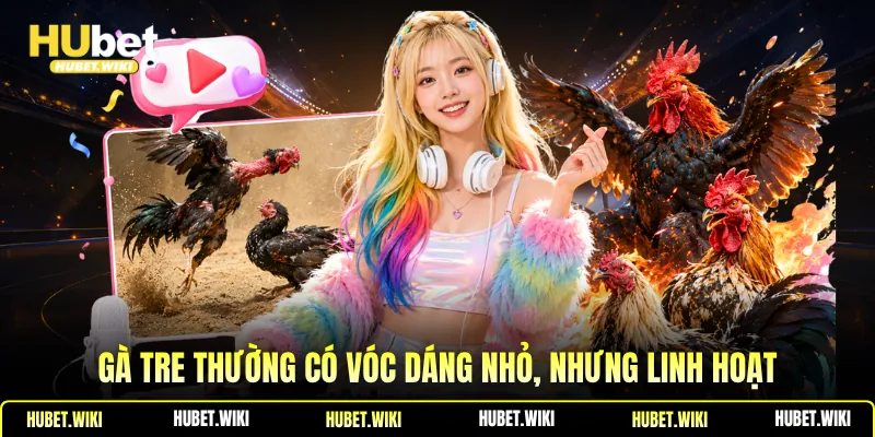 Gà tre thường có vóc dáng nhỏ, nhưng linh hoạt