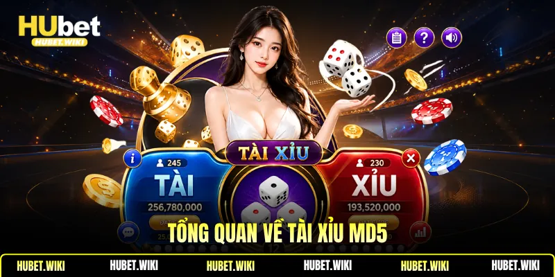 Tổng quan về tài xỉu MD5