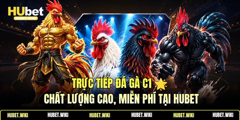 Trực Tiếp Đá Gà C1 🌟 Chất Lượng Cao, Miễn Phí Tại Hubet Trực Tiếp Đá Gà C1 🌟 Chất Lượng Cao, Miễn Phí Tại Hubet