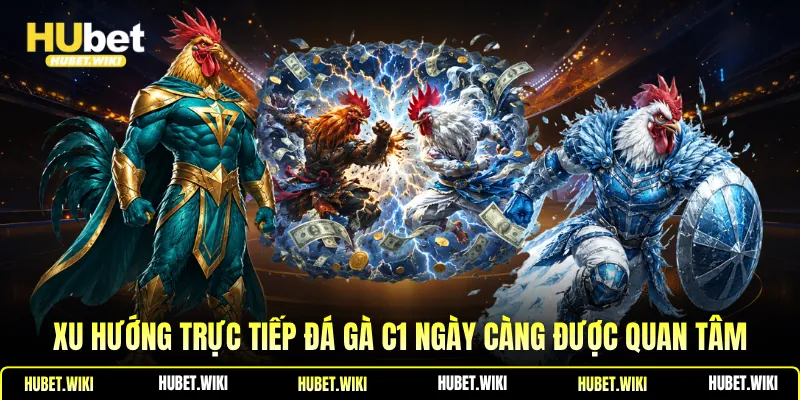 Xu hướng trực tiếp đá gà C1 ngày càng được quan tâm